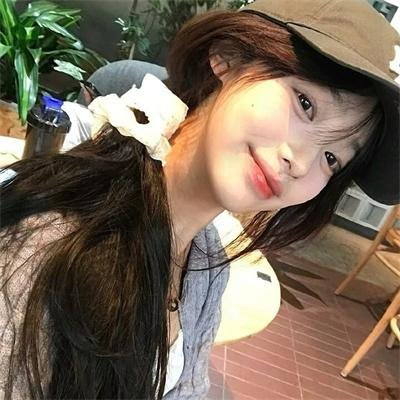 南方有乔木